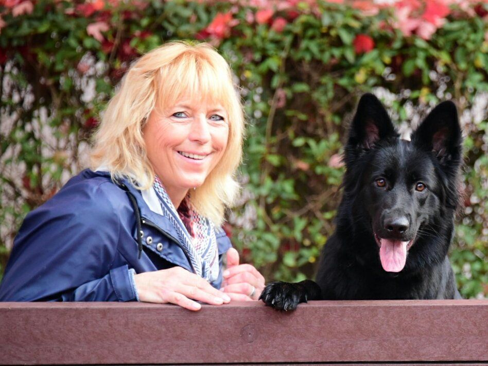 Hundeschule Sofawolf in Berlin-Pankow, Berlin-Karow, Berlin-Buc, Berlin-Weißensee, Panketal