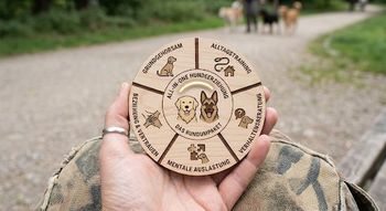 Rundlos-Sorglos Hundeschule Sofawolf Berlin-Pankow, Karow, Buch, Weißensee, Panketal , Tagesablauf, Fütterung, Ruhezeiten, Gassi, Spiel