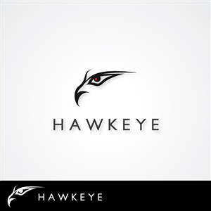 The Hawk Eye Firm Inc.