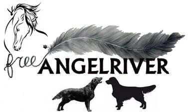 Angelriver