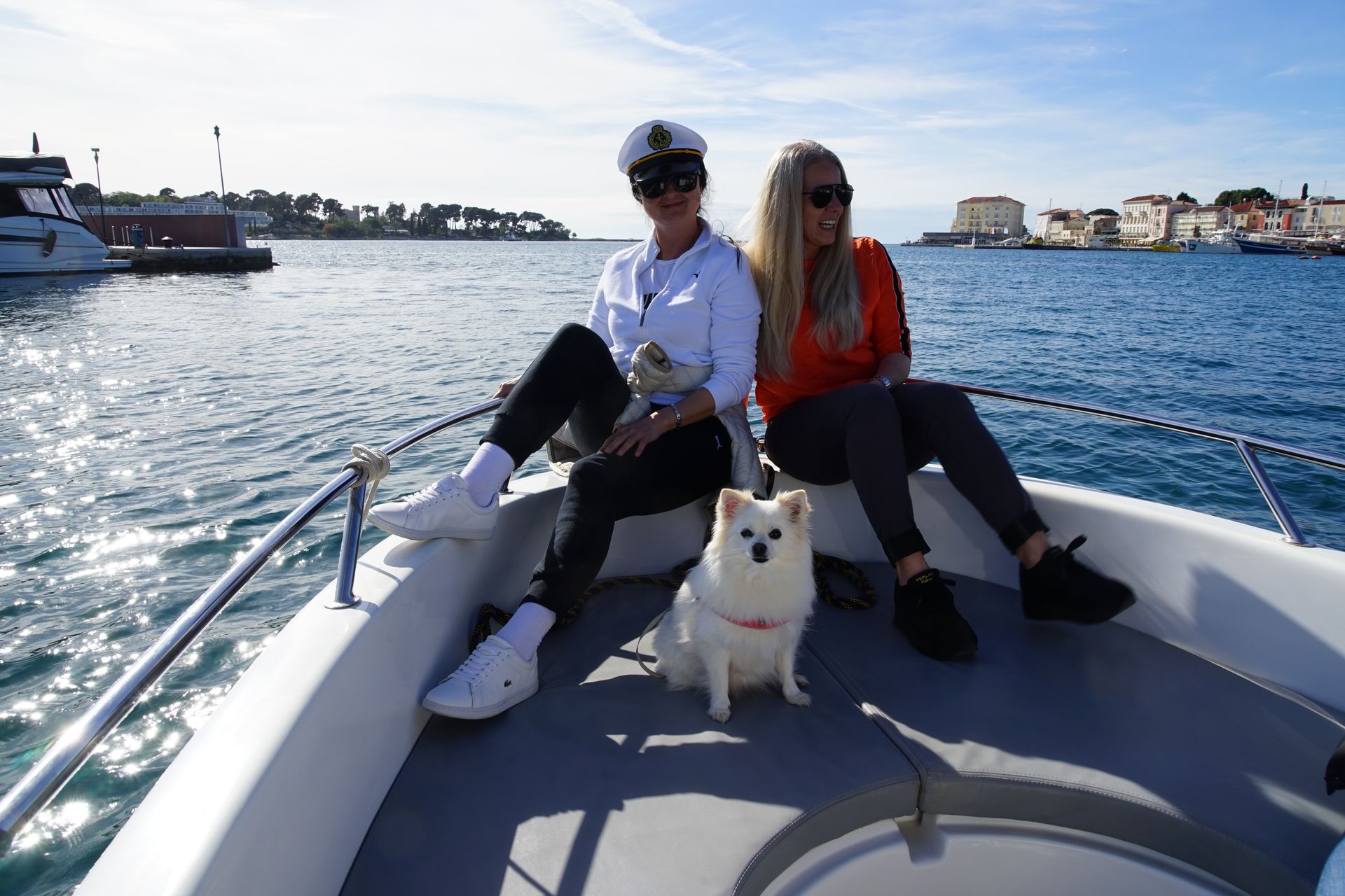 kucni ljubimci dobrodosli!