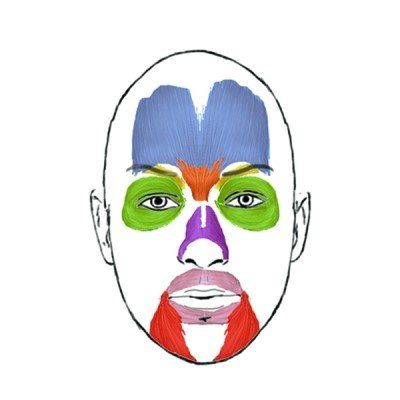 ¿Cómo funcionan las neurotoxinas? Botox, y en que músculos se aplican