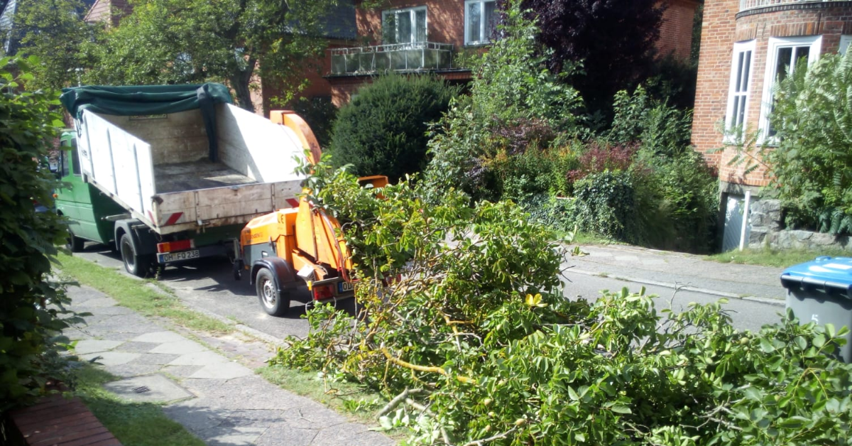 Baumpflege-HL Buschhacker