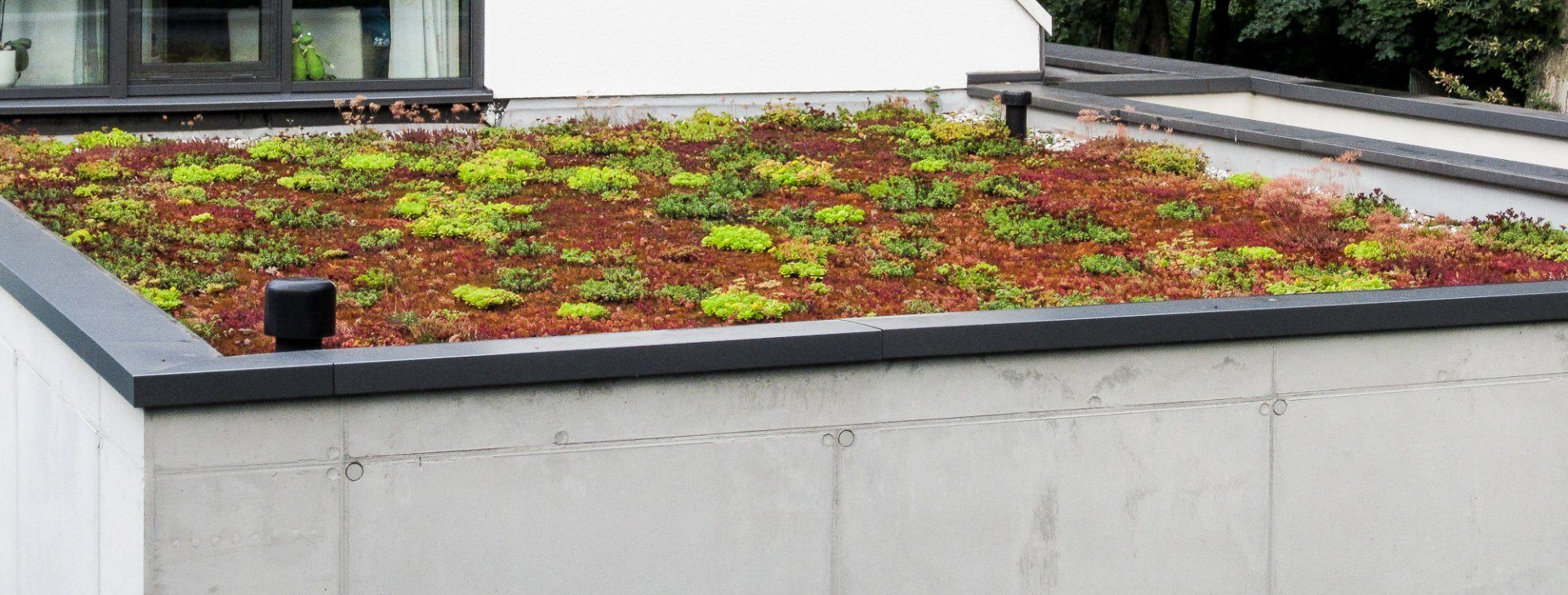 Garagenbegrünung - Mönchengladbach