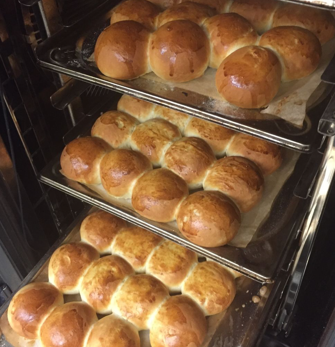 homemade dinner rolls