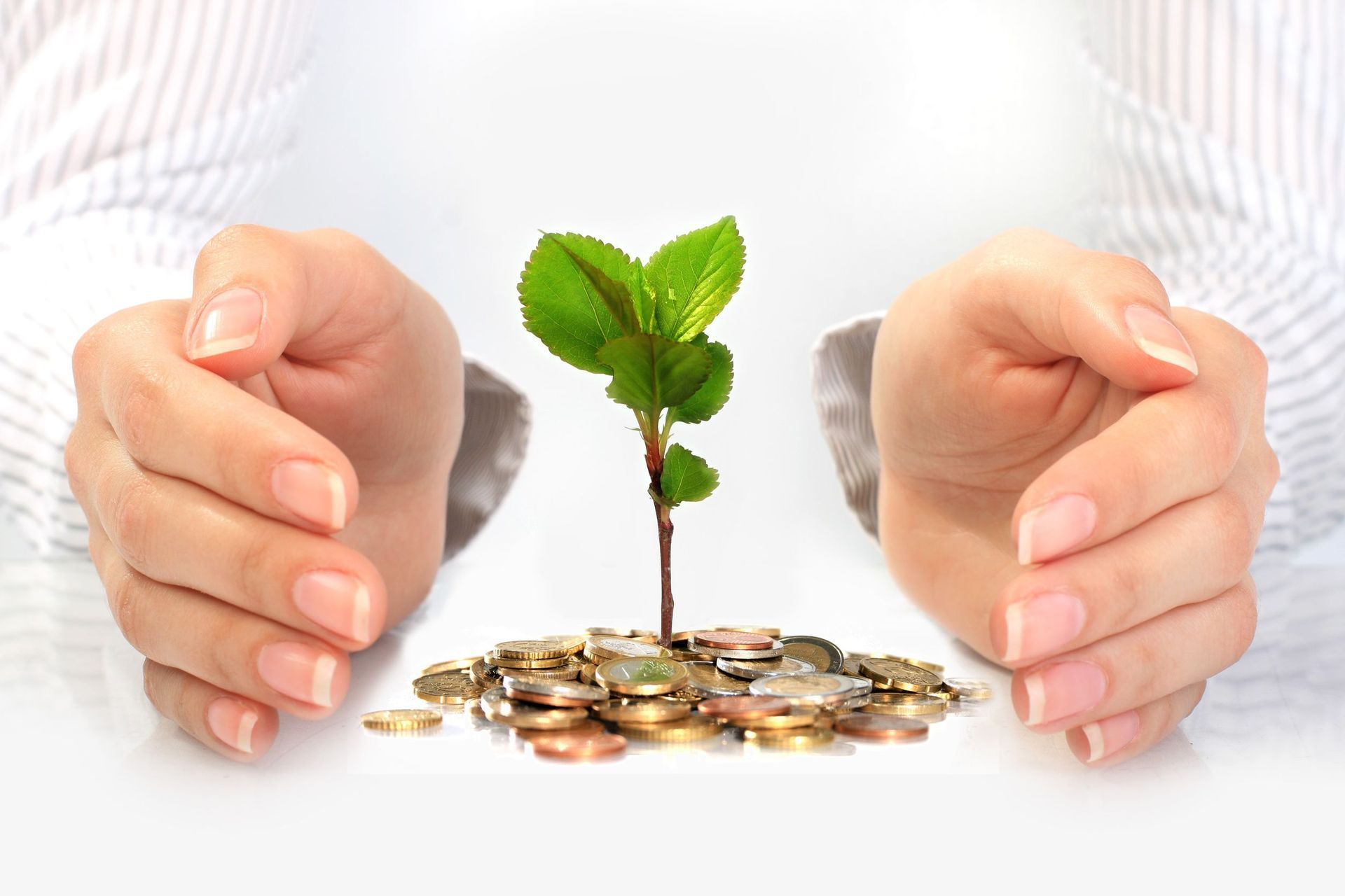 Le mani di una donna che racchiudono del denaro con una piantina al centro che sta crescendo, immagine che vuole raffigurare la protezione dei propri soldi dai rischi derivanti da esposizioni finanziarie e/o lavorative.