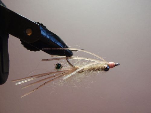 On The Water Fly Fishing Travel ǀ Calgary ǀ Crustacean Reduction
