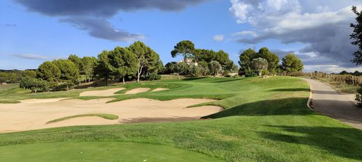 Golfschule Mallorca - Son Gual - Juan Schmidt Coll