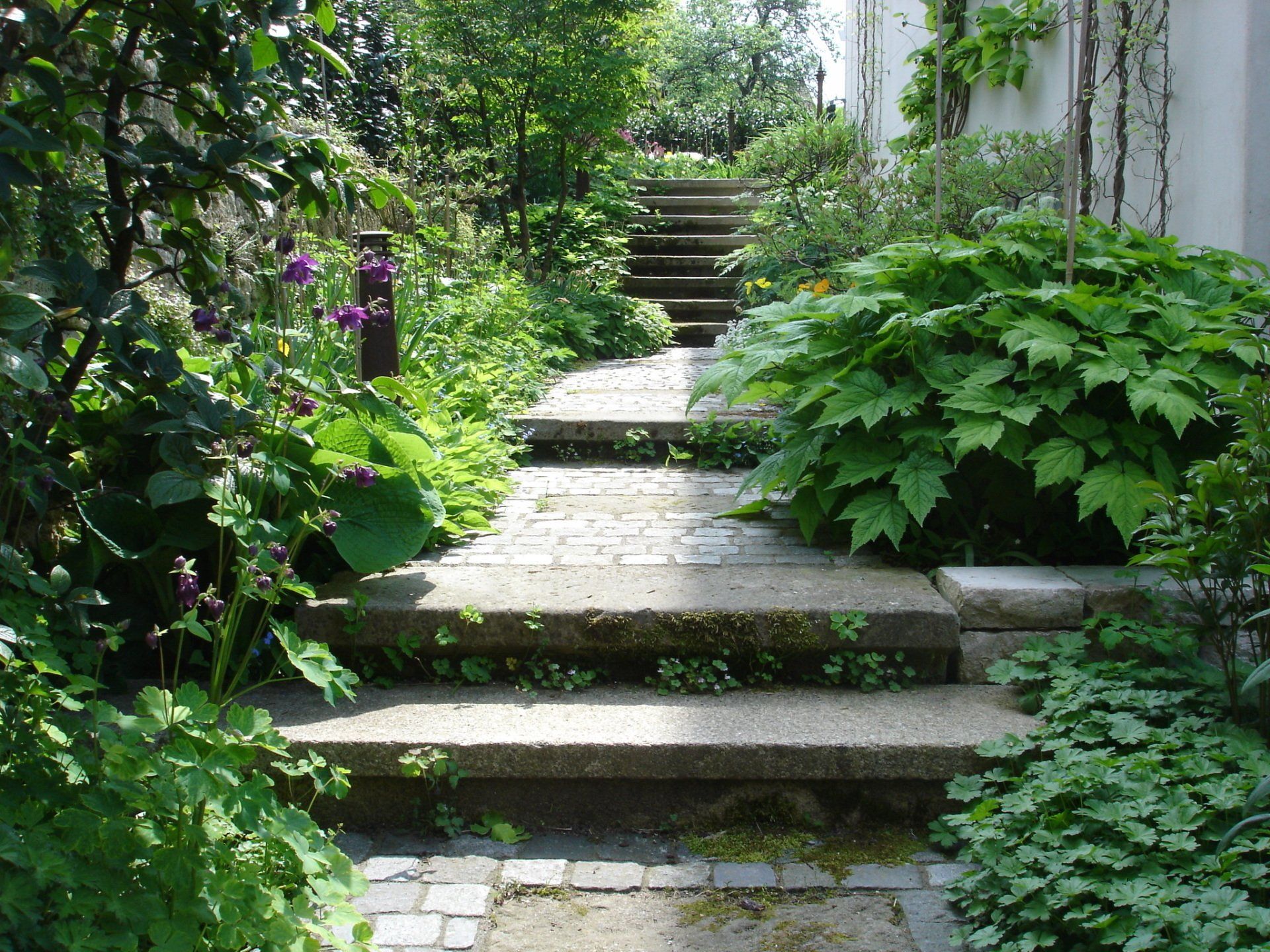 Besondere Gärten der neue Garten beim Büro