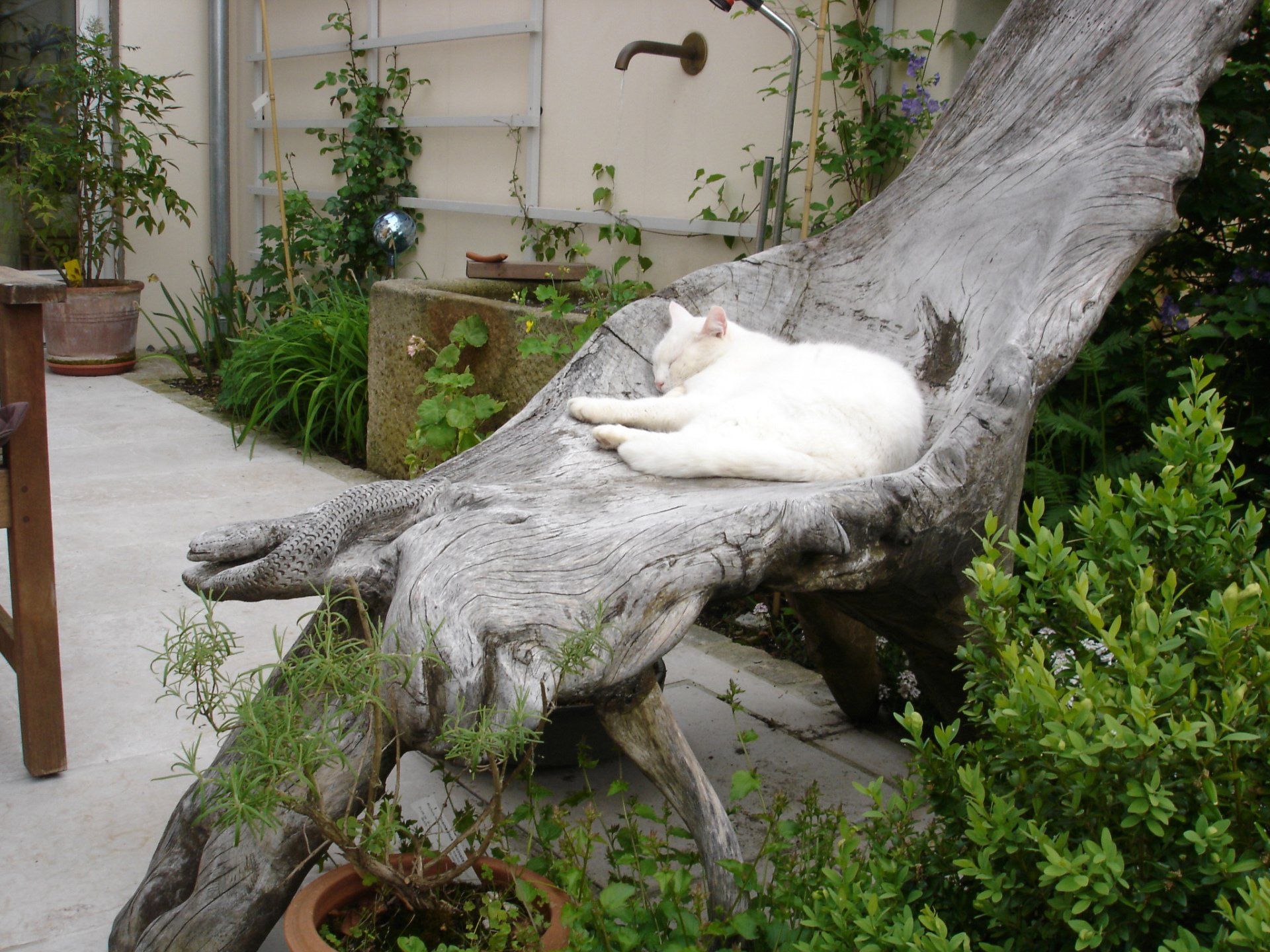 Besondere Gärten der neue Garten beim Büro