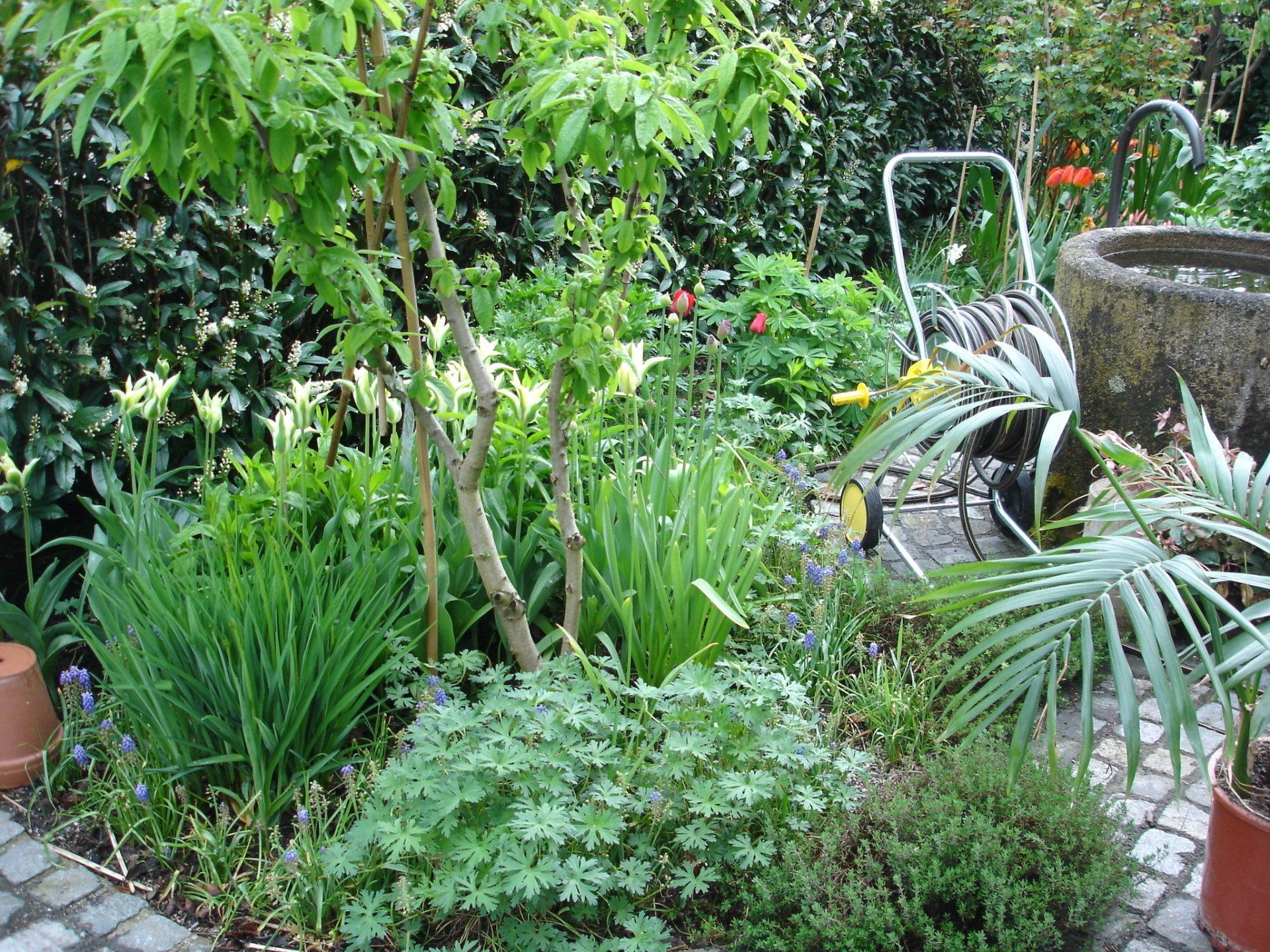 Besondere Gärten der neue Garten beim Büro