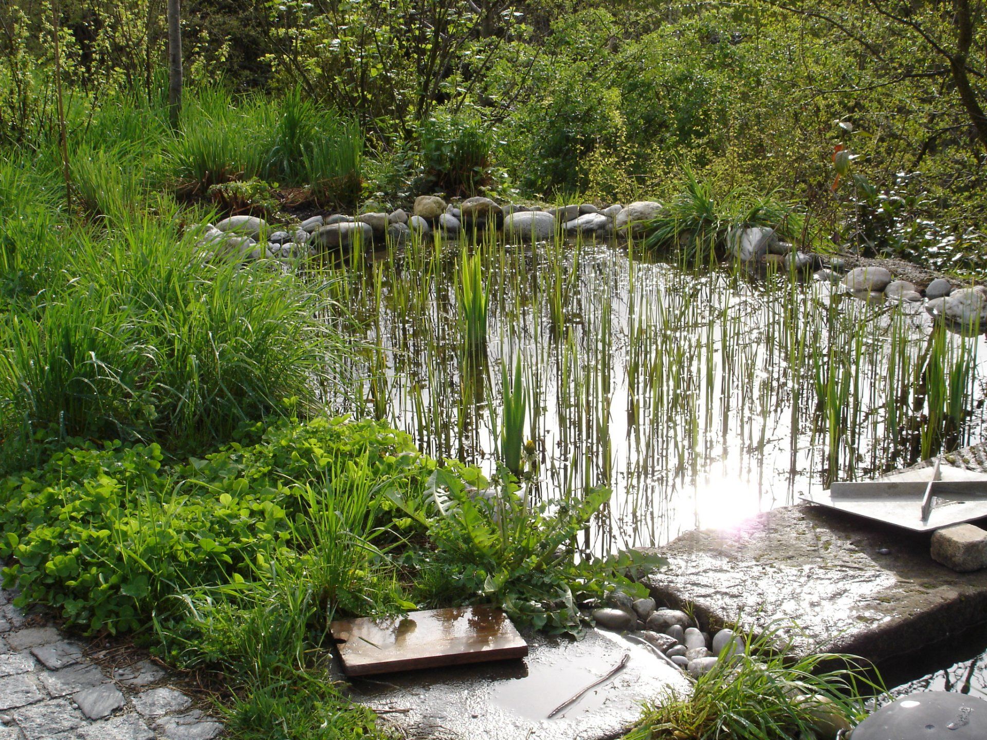 Besondere Gärten der neue Garten beim Büro