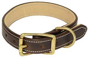 17 London Tan Premium Leather Standard Collar