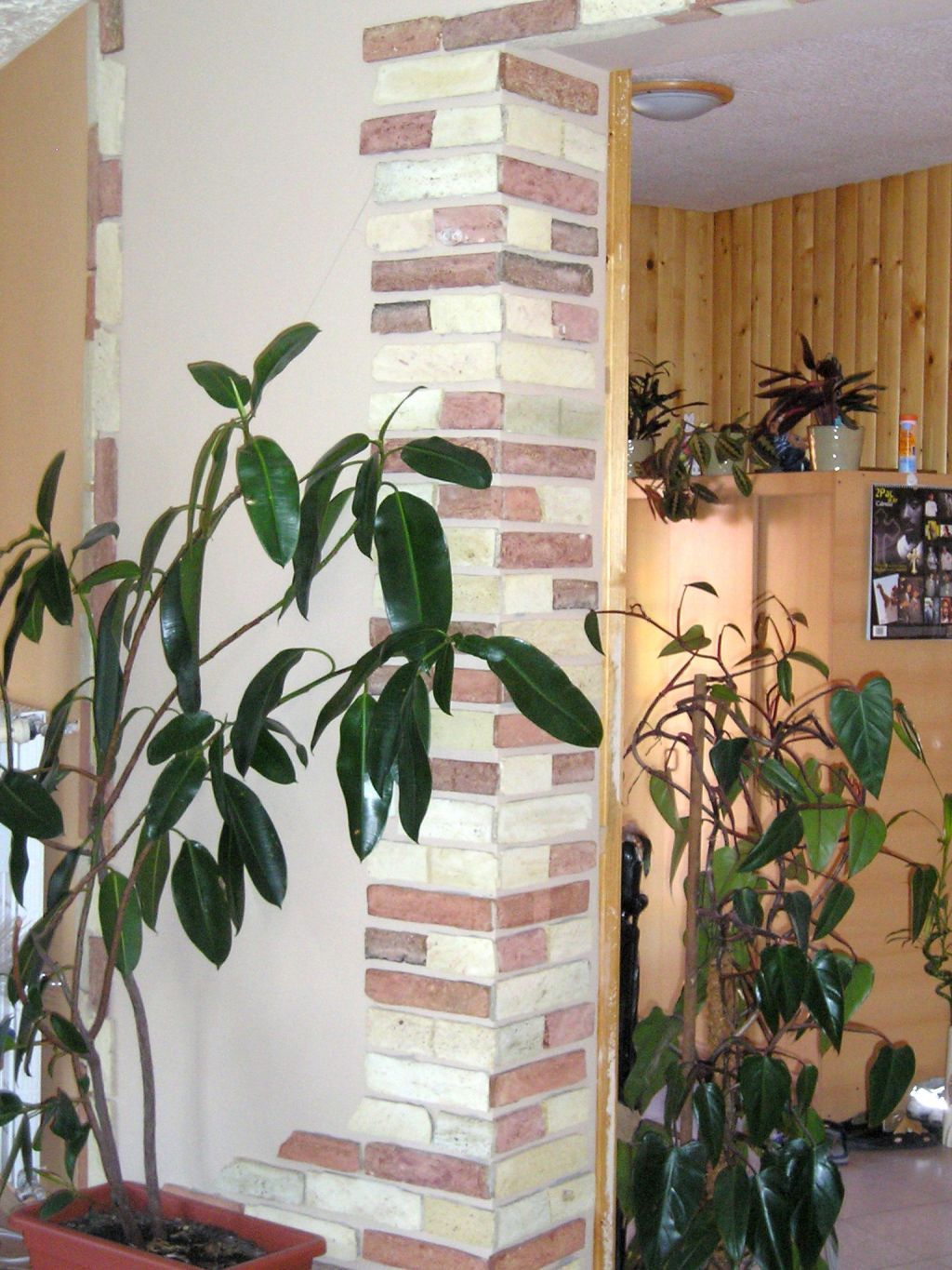 Gerüst- und Baumaschinenverleih Krall
Backstein Klinker Riemchen
www.geruest-saarland.de
www.baumaschinen-shop-saarland.de