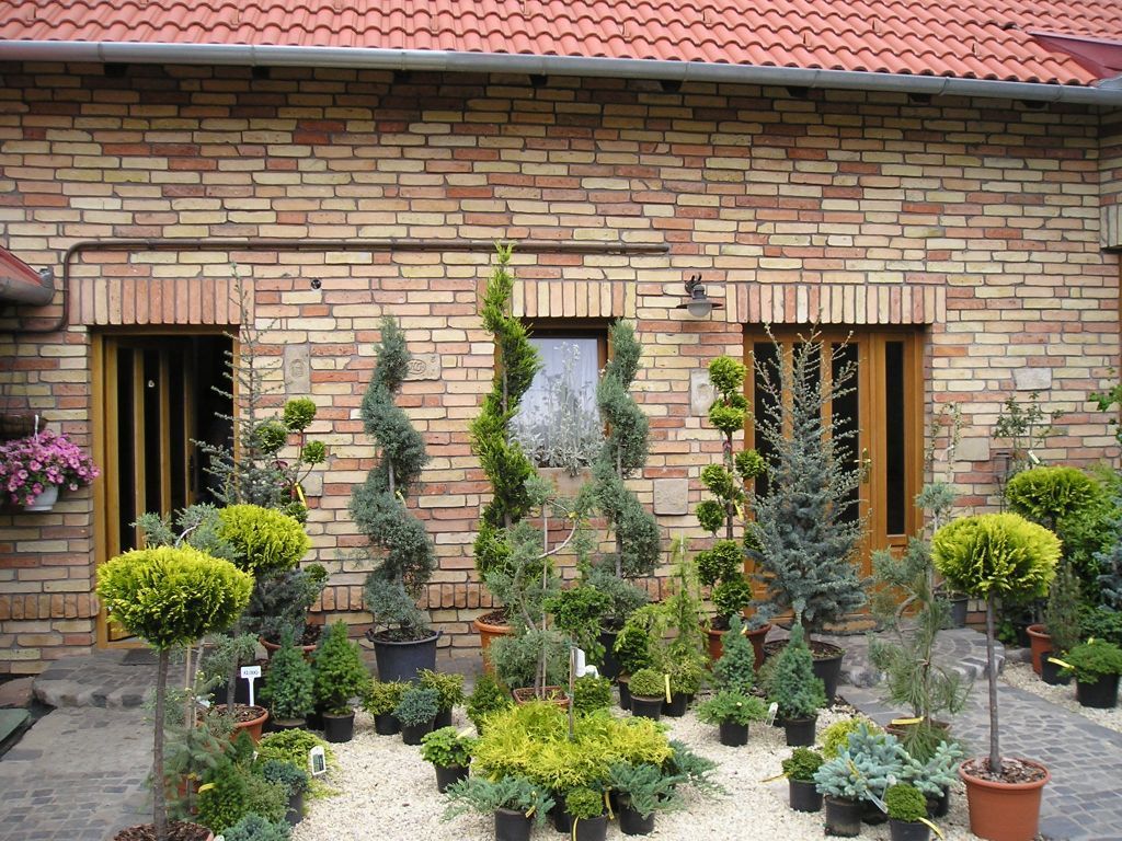 Gerüst- und Baumaschinenverleih Krall
Backstein Klinker Riemchen
www.geruest-saarland.de
www.baumaschinen-shop-saarland.de