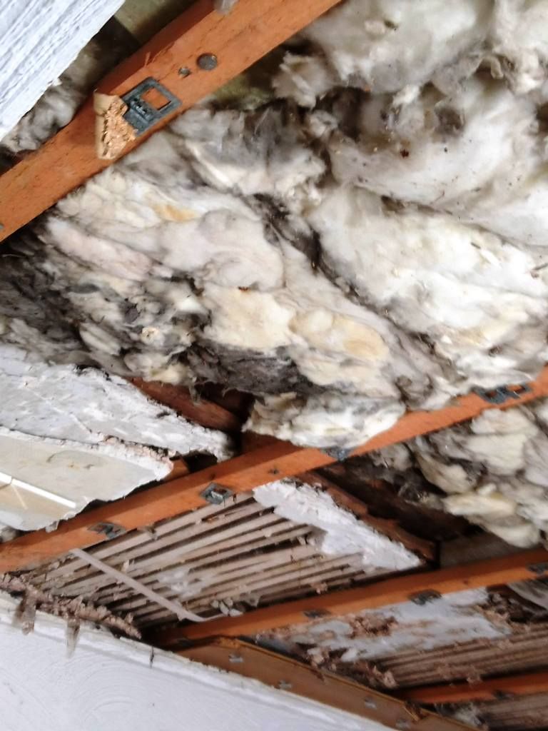 Handwerkliche Dienstleistungen Krall
Abriss und Neugestaltung einer alten Wickeldecke
www.geruest-saarland.de
