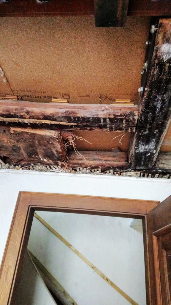 Handwerkliche Dienstleistungen Krall
Abriss und Neugestaltung einer alten Wickeldecke
www.geruest-saarland.de
