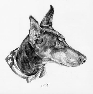 dog portraits