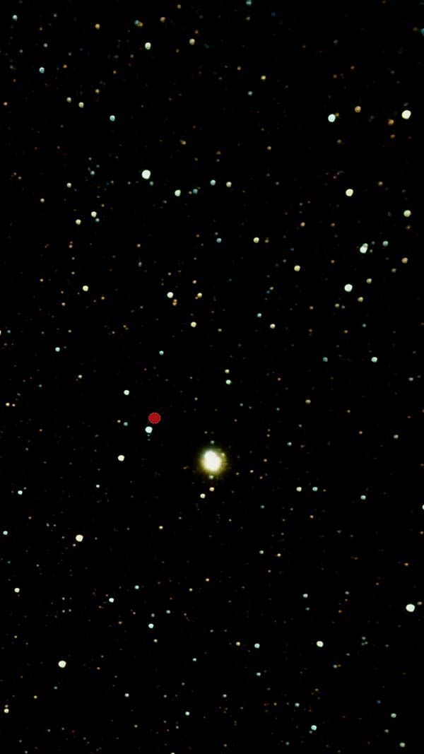 Albireo