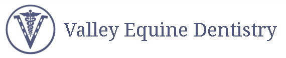 Valley-Equine-Dentistry-logo