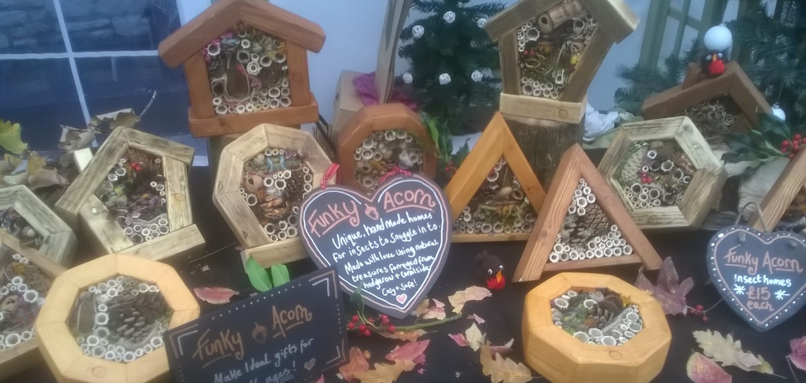 Funky Acorn Insect Home Stall
