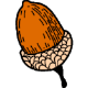 Funky Acorn Logo