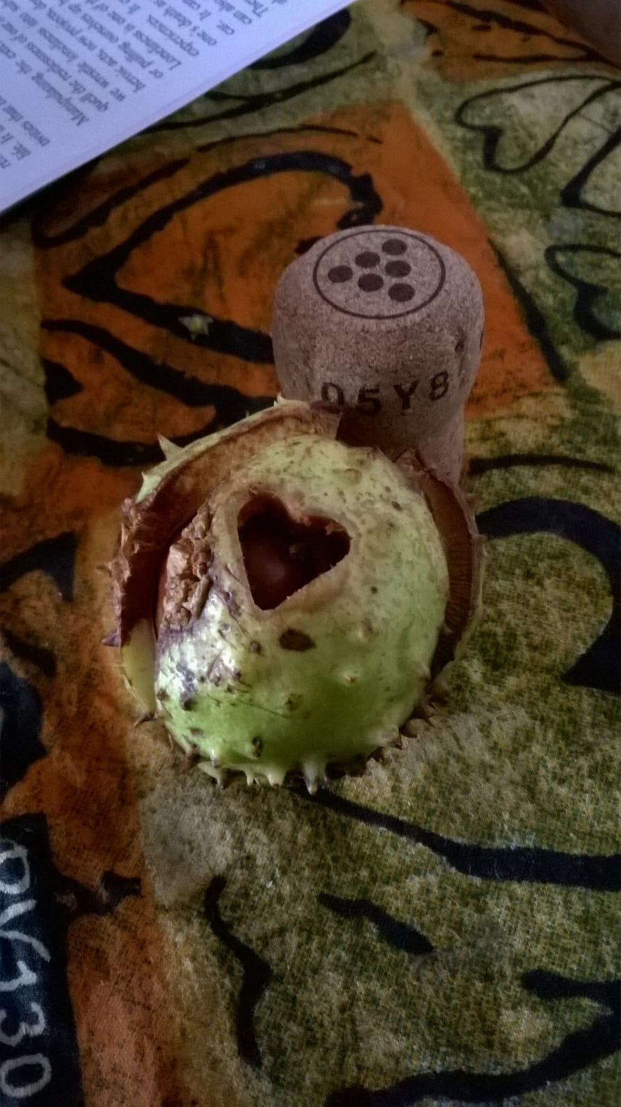 Insect Home Decoration Detail