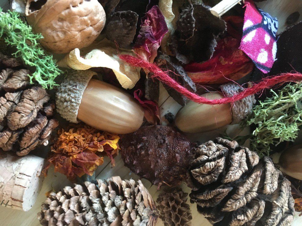 Insect Home Decorations