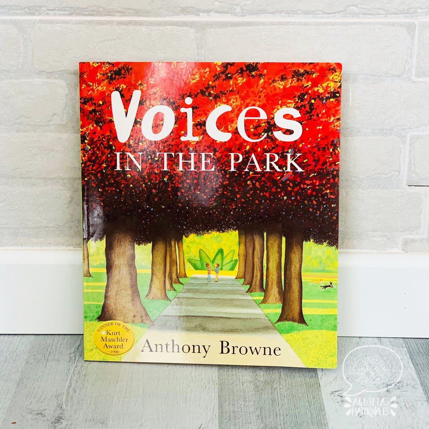 voices in the park book
