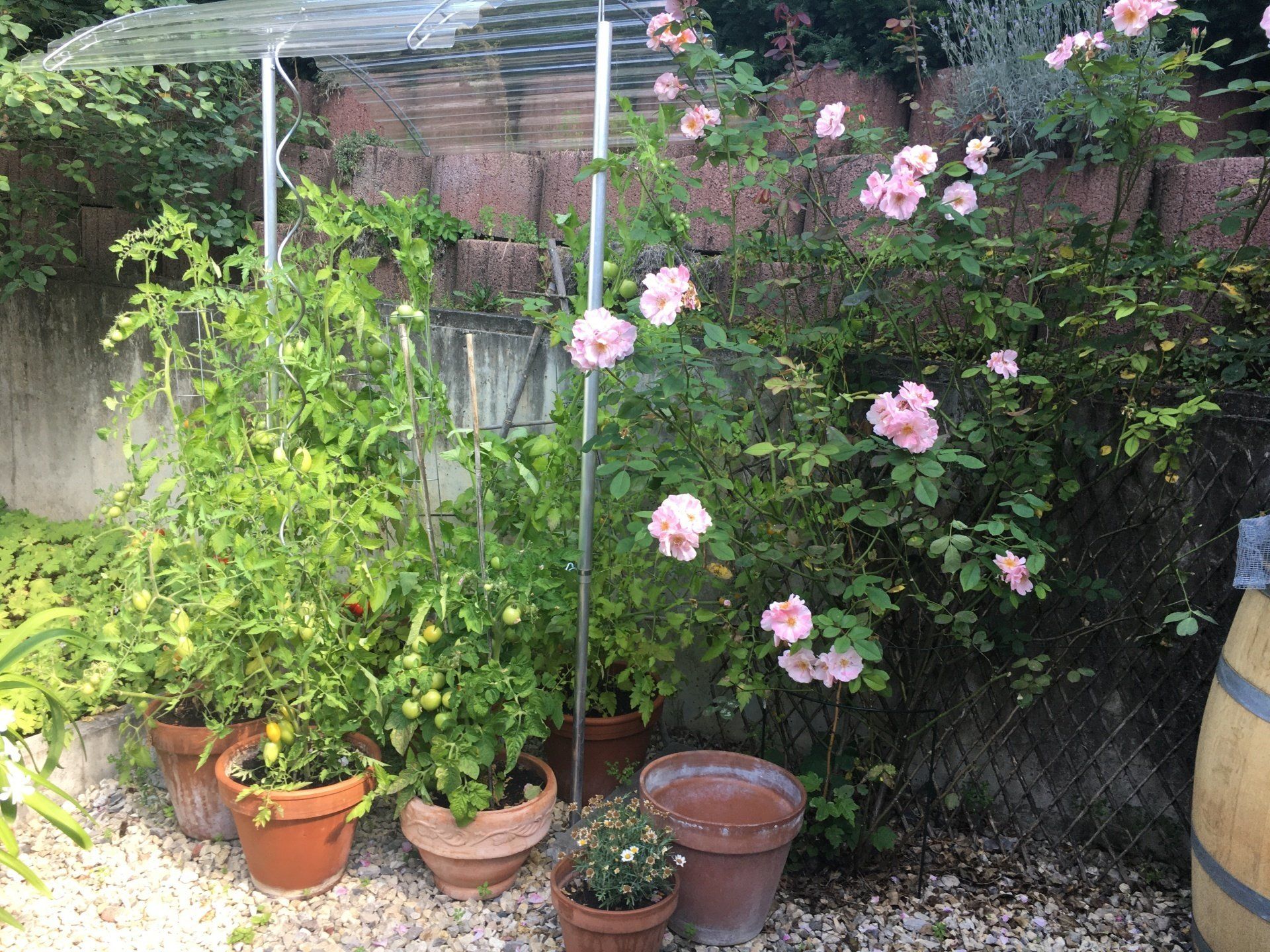 Gartenhof und Zen-Garten