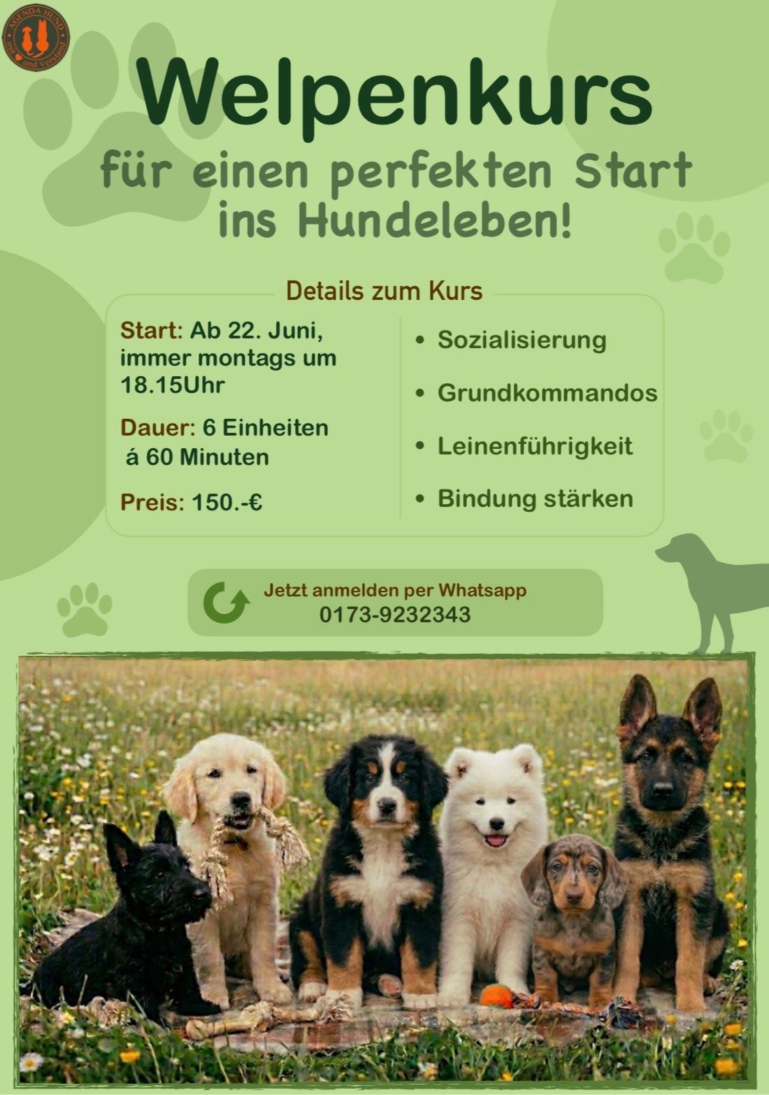 Welpenkurs