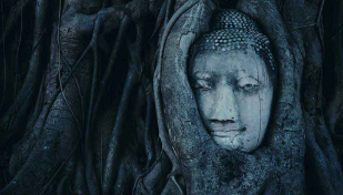 Grundstudium des Buddhismus