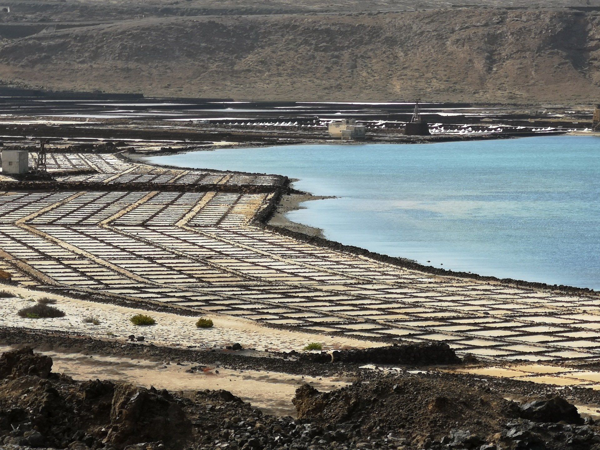 Salinas del Janubio Reserva online tu visita