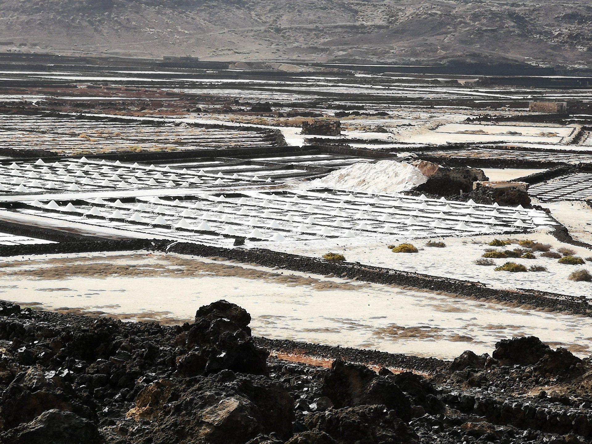 Salinas del Janubio Reserva online tu visita