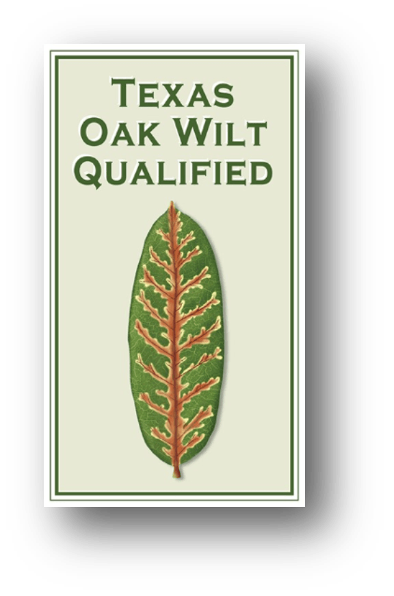 Oak Wilt Treatment Oak Wilt Prevention Full Canopy Tree Care