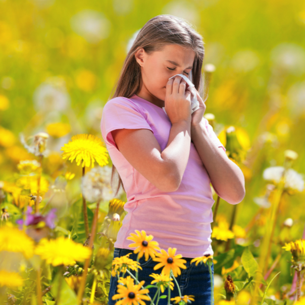 Allergien