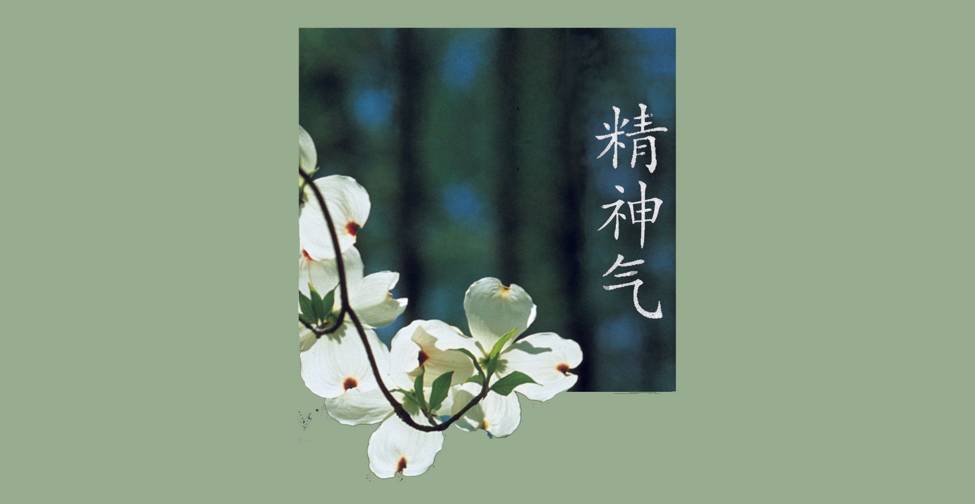 Blumenhartriegel und die drei daoistischen Schätze