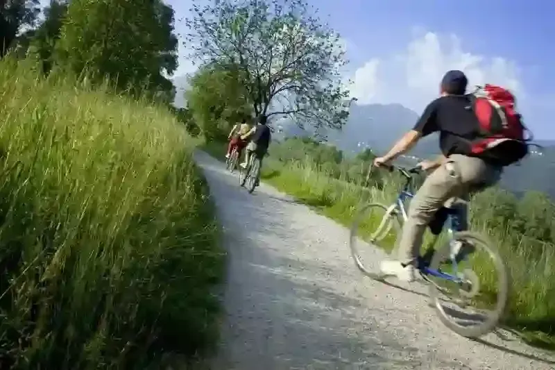 Radfahrer, die an einem sonnigen Tag mit Mountainbikes auf einem Schotterweg fahren.
