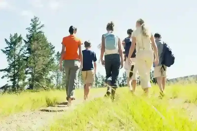 Eine Gruppe Wanderer geht  bergauf durch ein sonniges Grasfeld mit Bäumen im Hintergrund.