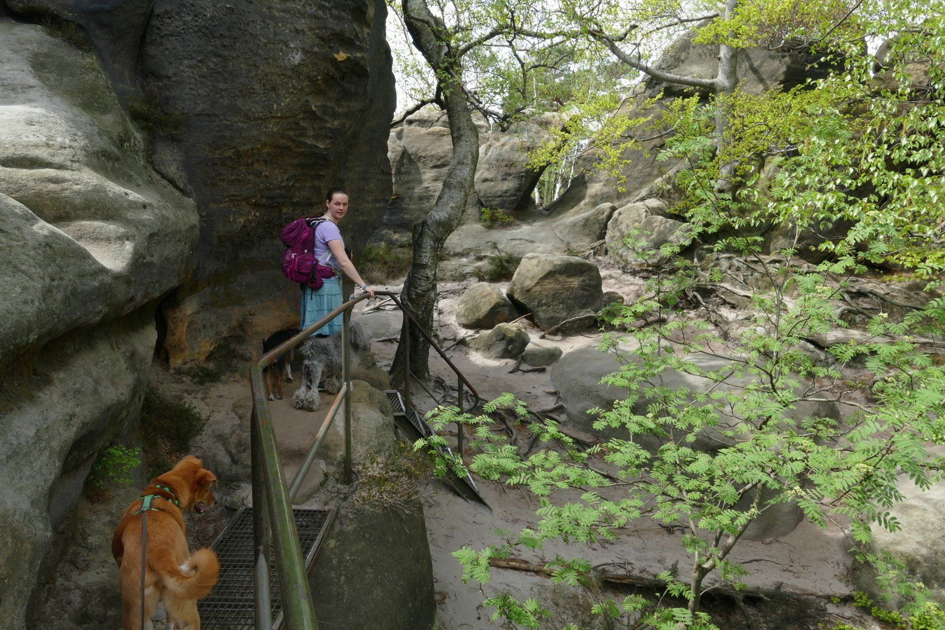 Schrammsteine, Idagrotte und Obere Affensteinpromenade, oder ein hoch auf einen guten Wanderführer