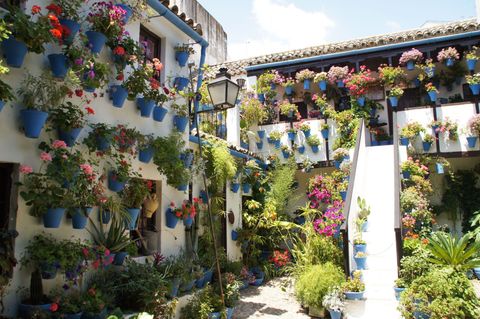 Córdoba Andalusien Innenhof Ferienhaus Malaga