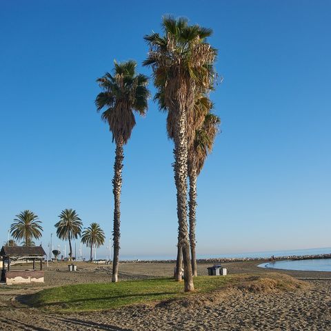 beach of El Palo (Málaga)