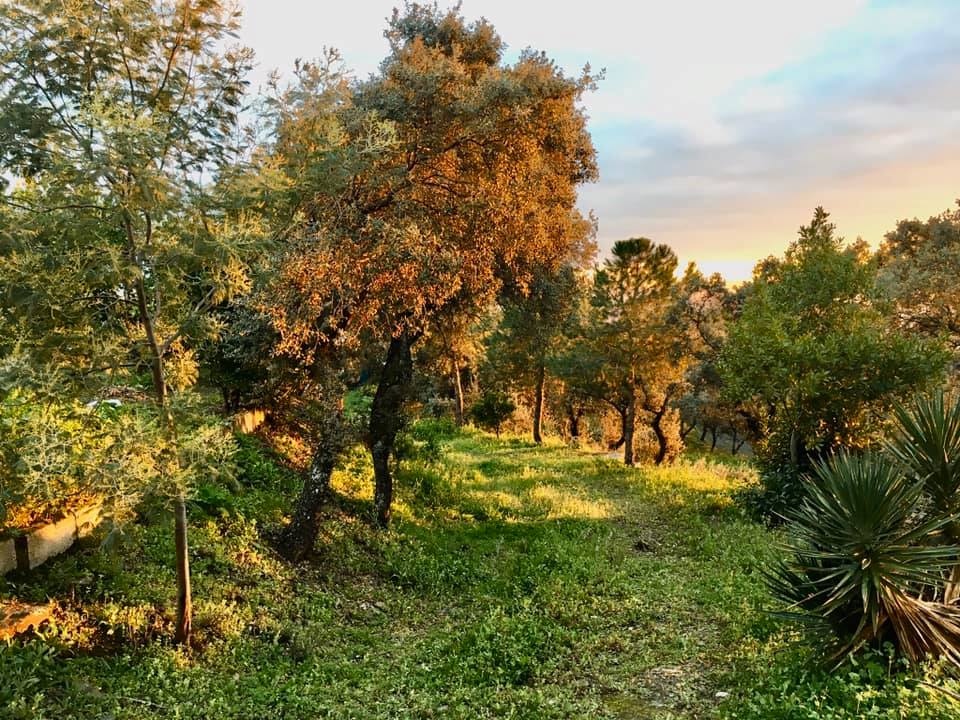 Parque Natural Sierra de Andújar Parque Natural Sierra de Andújar