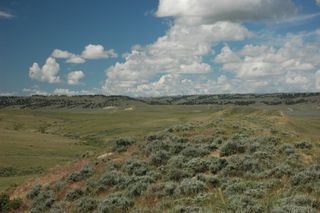 Pine Mountain Ranch- Casper, Wyoming