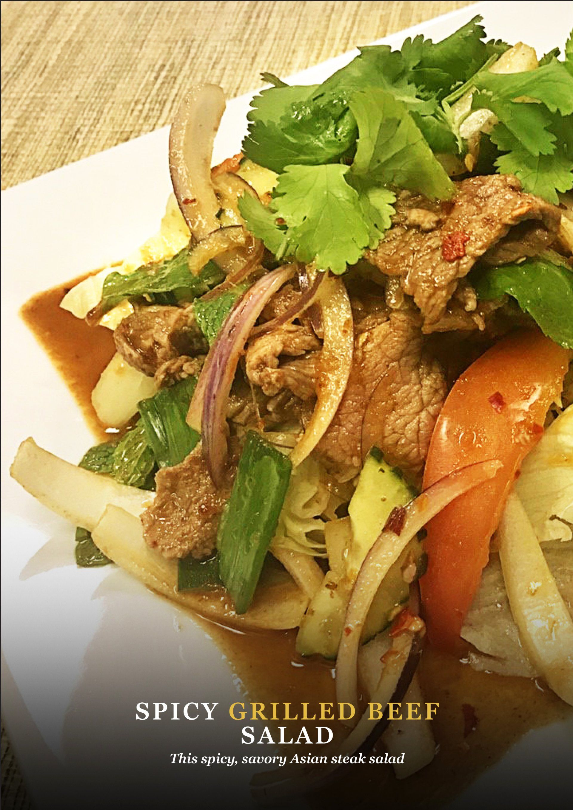 Tie restaurant, TIE Thai Midlothian, best Thai food