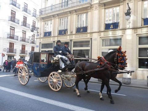 Alquiler De Carruajes Y Caballos Para Eventos