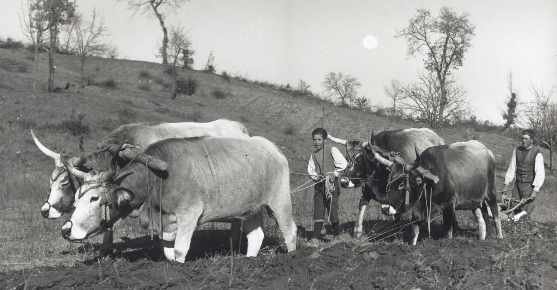 Historisches Bild von den Anfängen der landwirschaftlichen Tätigkeit der Familie Bertoli von Molino e Pastificio sul Lago