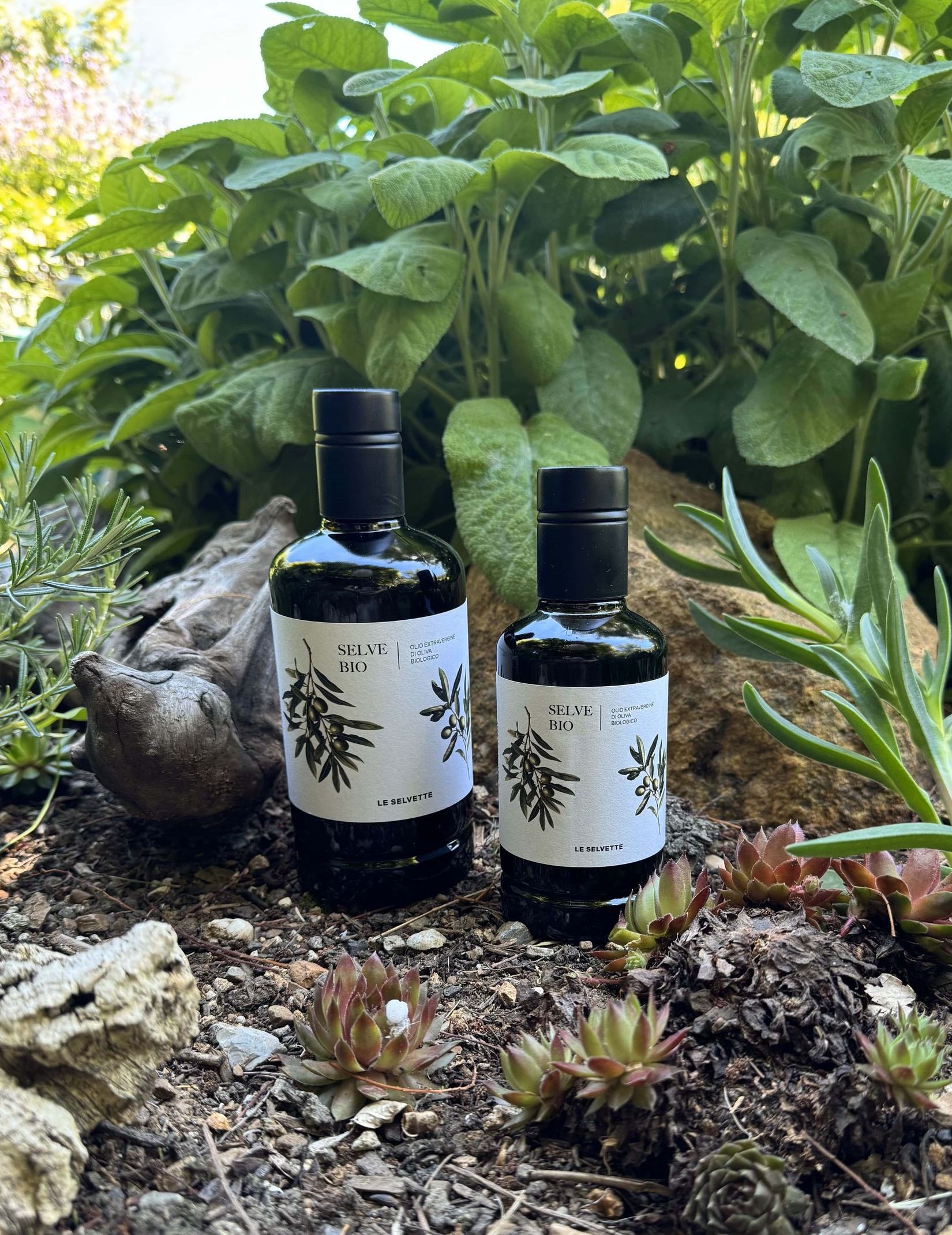 eine 0,25l und eine 0,5l Olivenölflaschen nebeneinander stehend umgeben von Steinen, Treibholz, Erde und Pflanzen