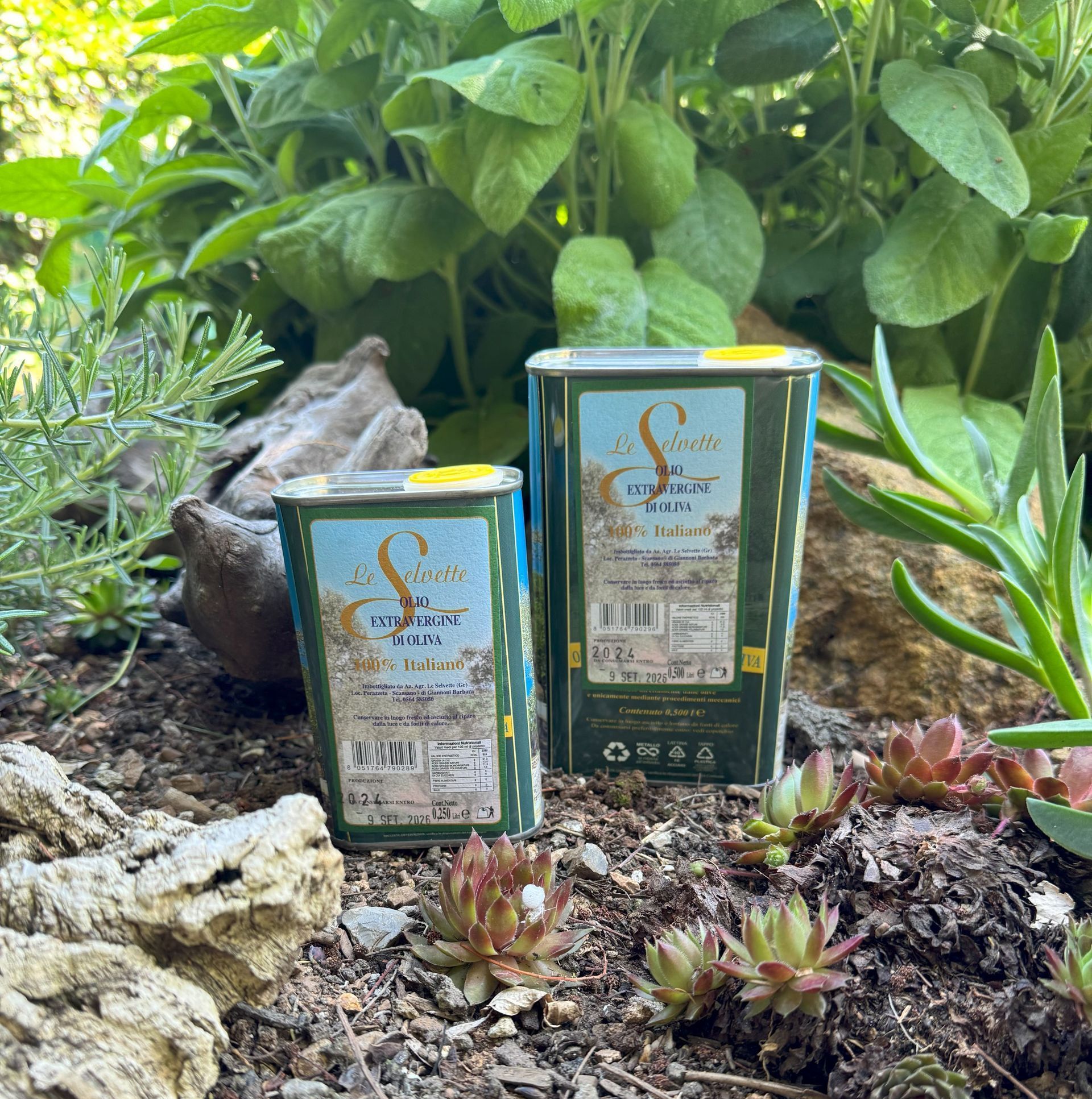 eine 0,25l und eine 0,5l Olivenöldose nebeneinander stehend umgeben von Steinen, Treibholz, Erde und Pflanzen