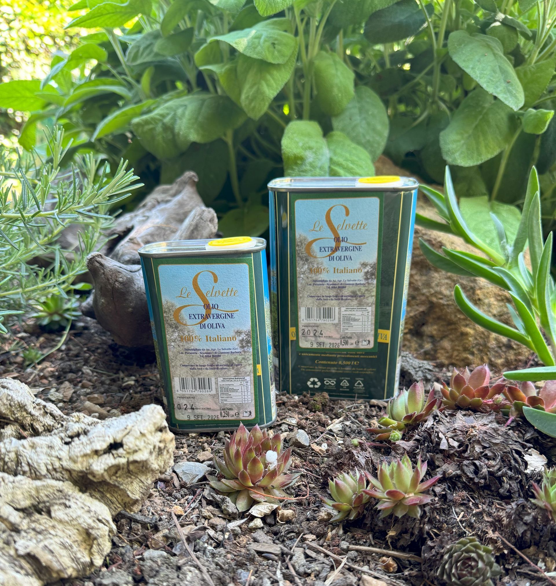 eine 0,25l und eine 0,5l Olivenöldose nebeneinander stehend umgeben von Steinen, Treibholz, Erde und Pflanzen